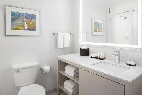 Embassy Suites By Hilton Hotel Tampa-Airport/Westshore image 11
