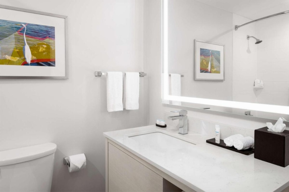 Embassy Suites By Hilton Hotel Tampa-Airport/Westshore Image 16